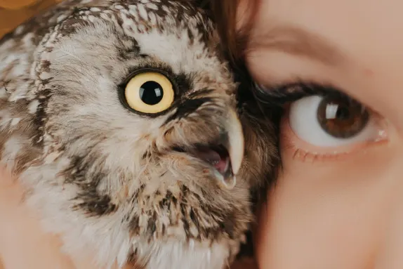 Paradise Casino Stuðningur